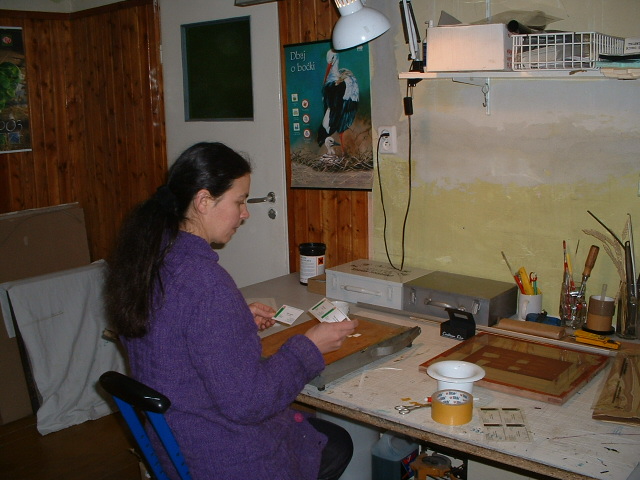 Panowie sie bawili, a Gosia... PRACUJE!